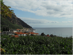 Apartment Villa Vista - Funchal