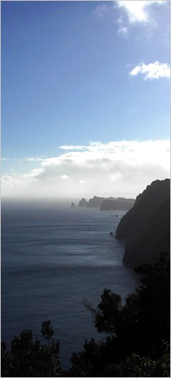 Herzlich Willkommen auf Madeira - Hier finden Sie atraktive Angebote an Hotels , Ferienhäusern, Apartments, Flüge, Mietwagen etc