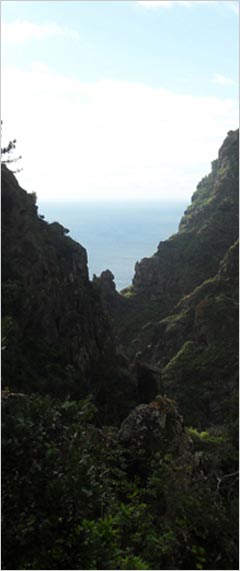 Herzlich Willkommen auf Madeira - Hier finden Sie atraktive Angebote an Hotels , Ferienhäusern, Apartments, Flüge, Mietwagen etc