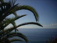 Apartment Antonio in Porto da Cruz im Nordosten Madeiras